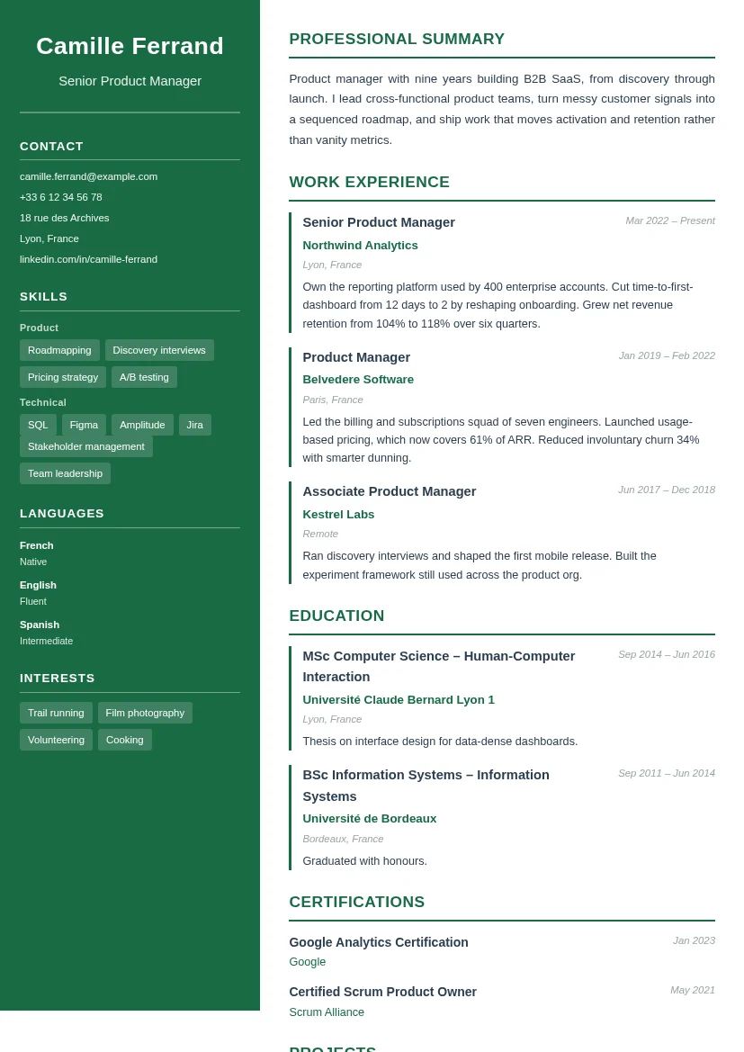 Preview of the Modern resume template
