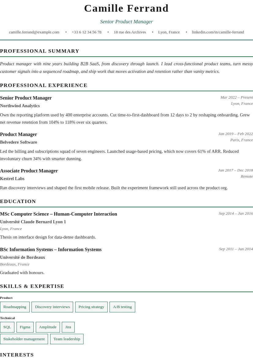 Preview of the Professional resume template
